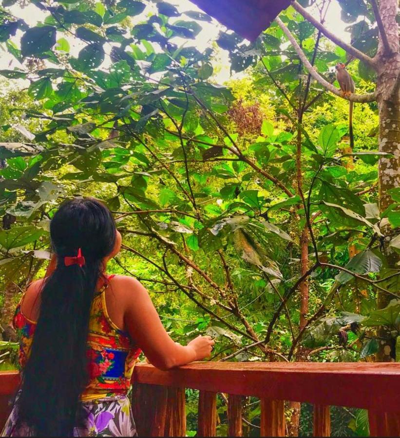 Casa Da Arvore, Sonho Na Amazonia, 2Min A Pe Da Praia 알테르 두 차오 외부 사진